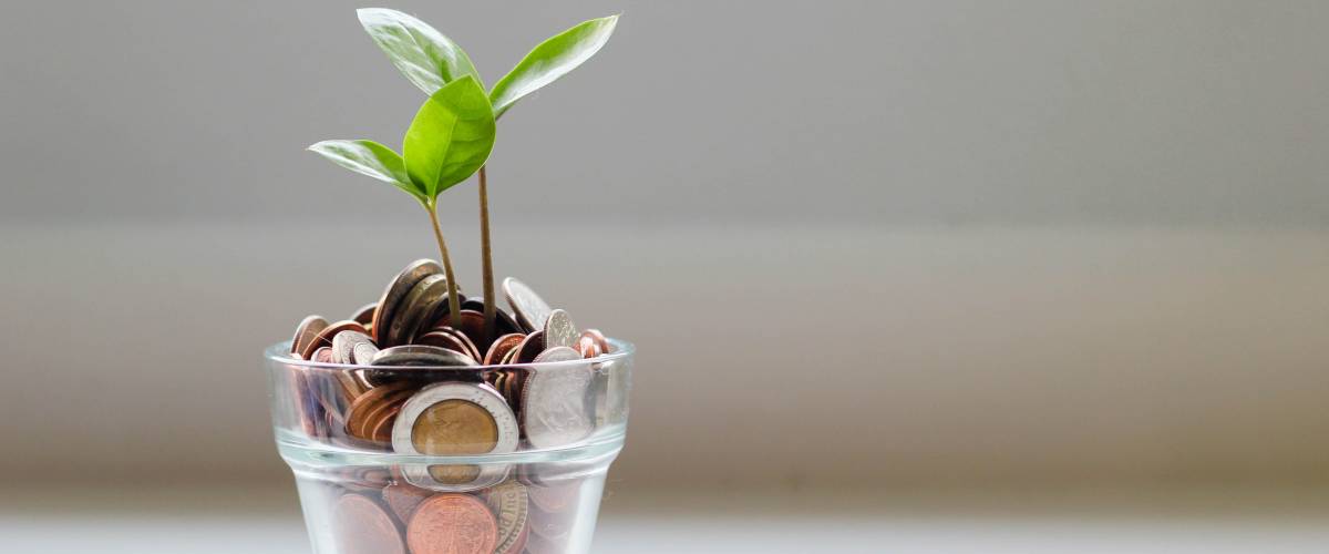 Green plant growing from jar of coins, environmental investing