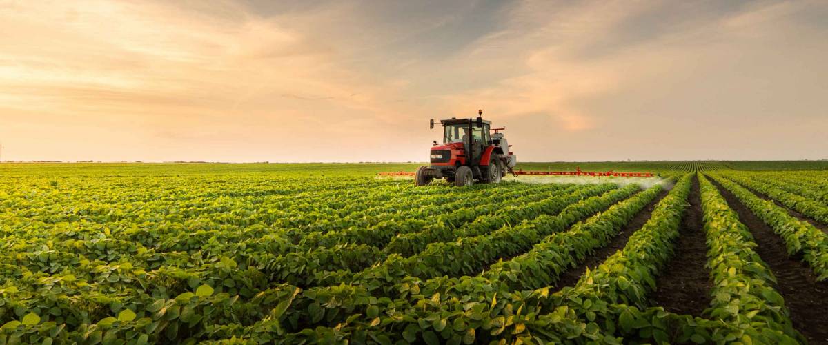 Tractor spraying pesticides at soy bean fields
