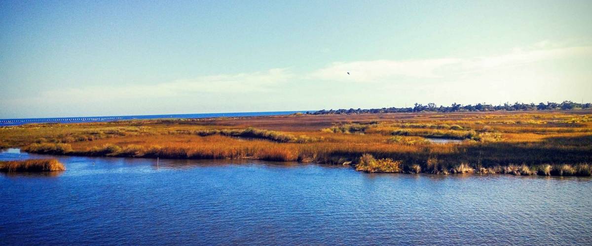 View of Bayou Caddy in Bay St. Louis, MS