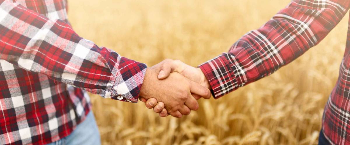 People shaking hands in a wheat field, farmer's agreement. Agriculture agronomist business contract concept