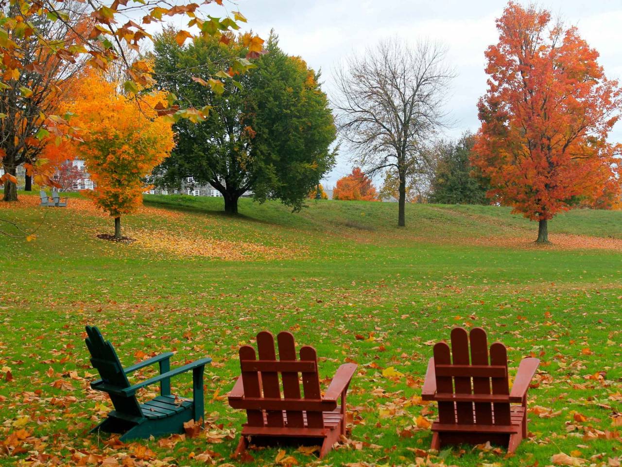 Fall at Middlebury College
