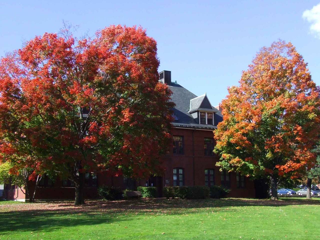 Autumn Colors at Tufts University