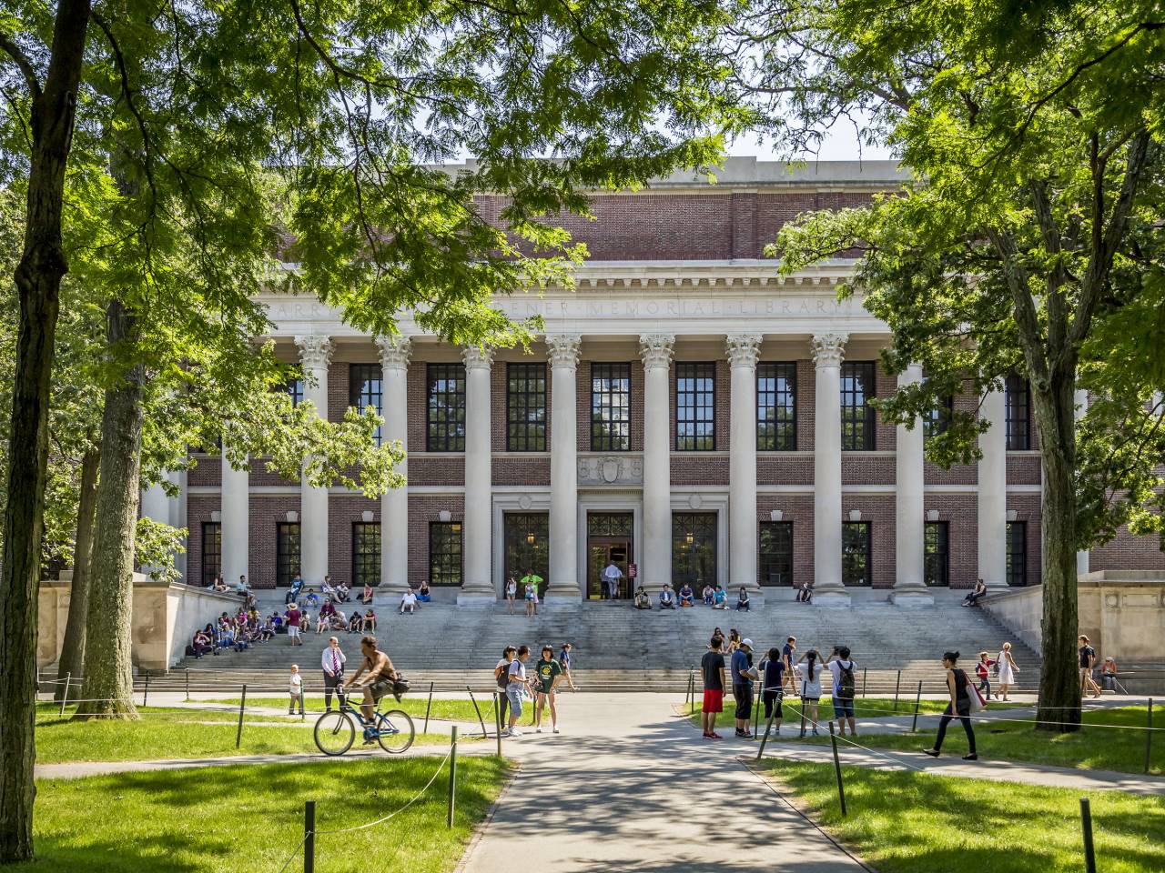Harvard University