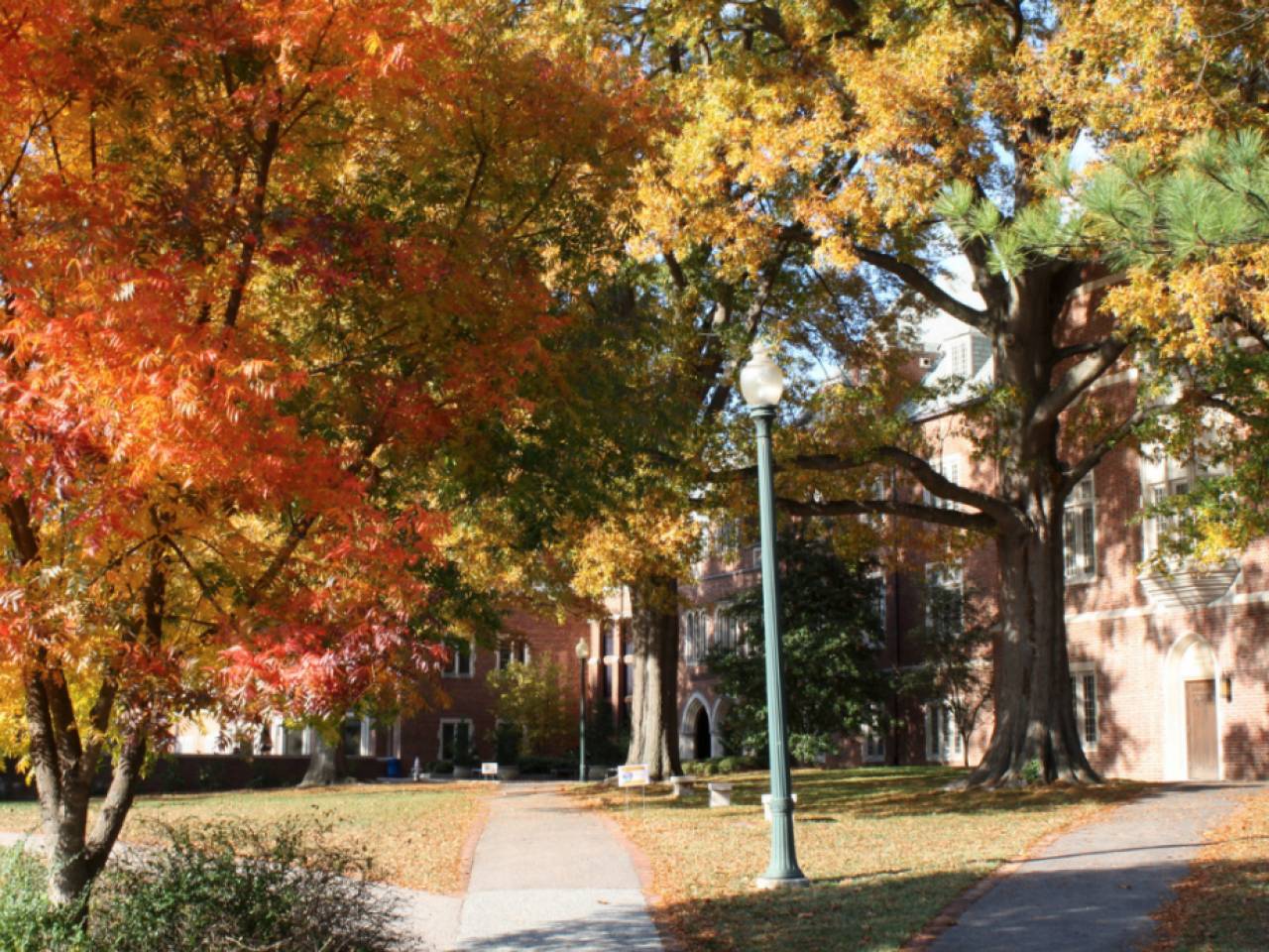 University of Richmond