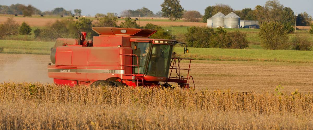 Lowry City, Missouri, USA10/13/2017Farmer in a Case Combine Harvester, harvesting soybean out of a field while on the phone