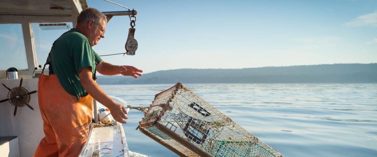 older, caucasian Man in overalls standing on boat throwing lobster trap into water, Maine, USA