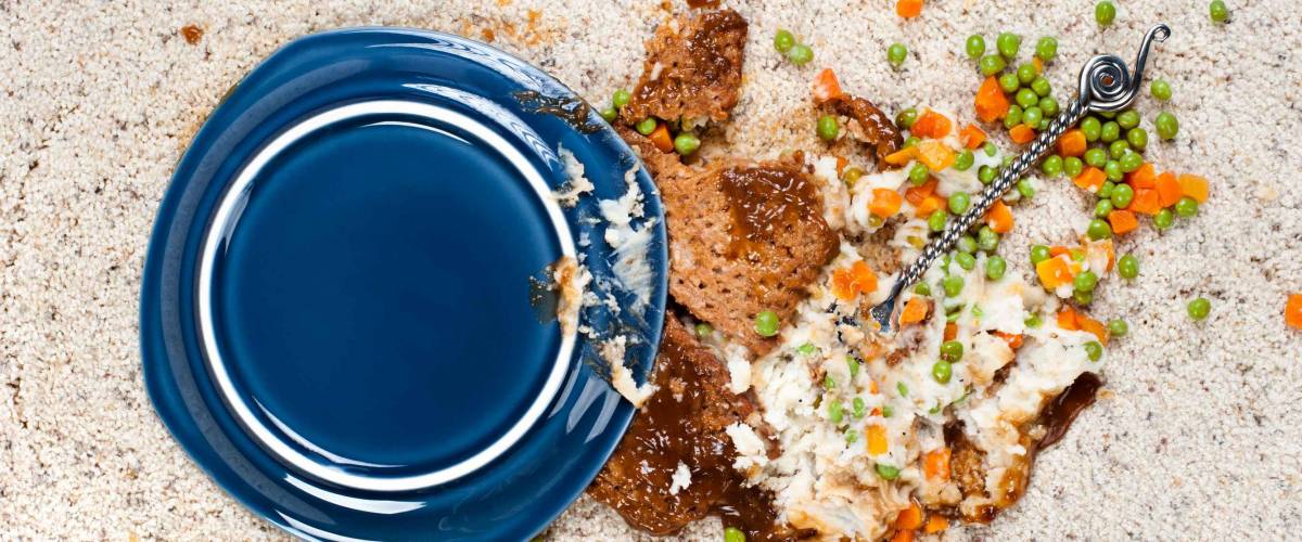 A plate of meatloaf with mashed potatoes and peas dropped on new carpet.