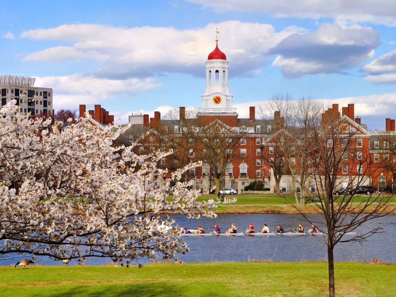 Harvard University