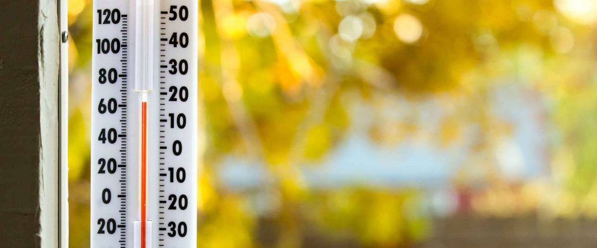 Image of a thermometer with pretty colors of fall in the background