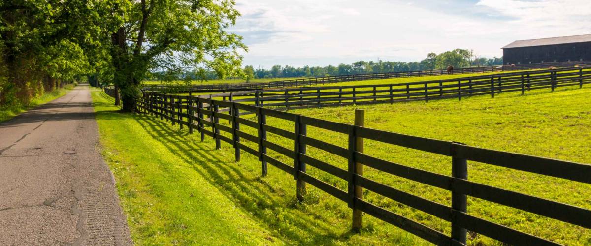 Country road along the horse farms.