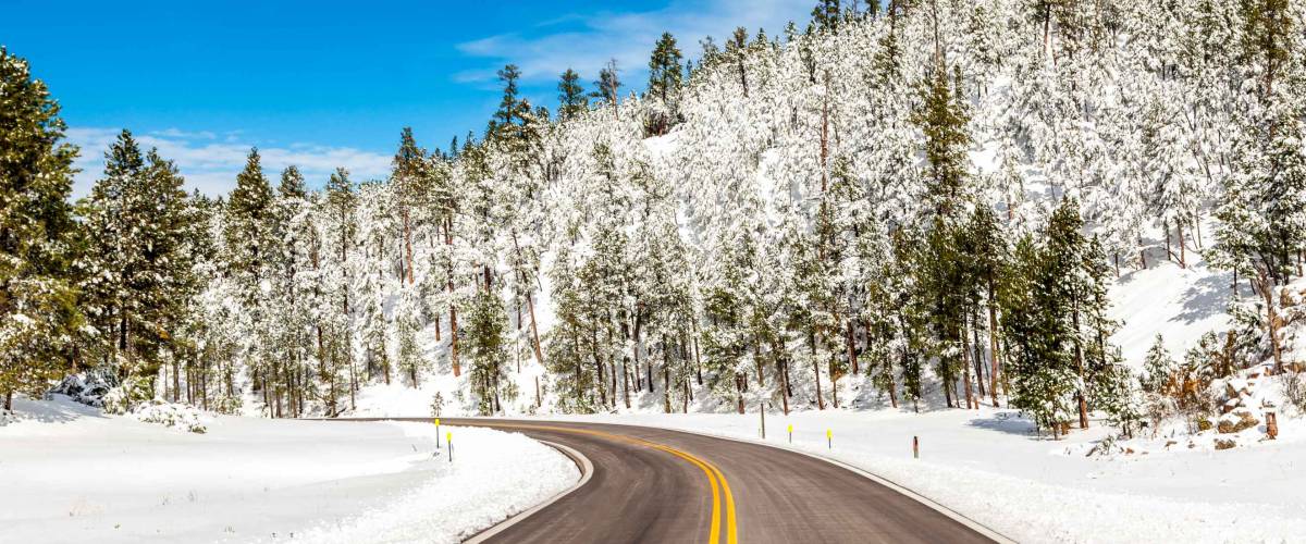 winter road in snowy forest on a sunny day