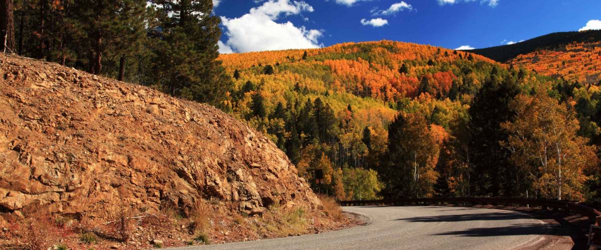 Fall Color in Santa Fe, NM