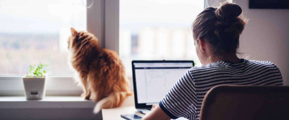 Girl student freelancer working at home on a task, the cat is sitting on the window