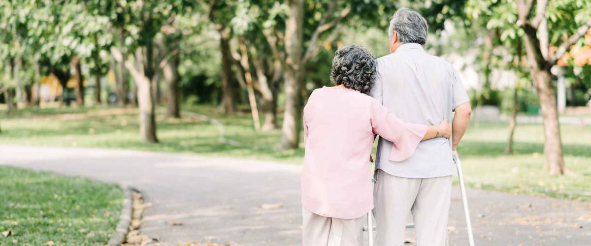 Back view of loving senior couple talking a walk with walker in the park