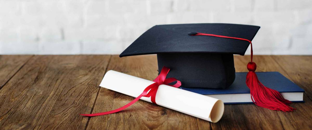 Academic College Degree Education Insight Concept