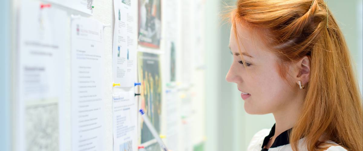 Young female student looking through job offers on board