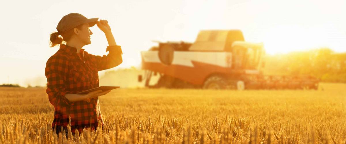 Woman farmer with digital tablet on a background of combine harvester. Smart farming concept.