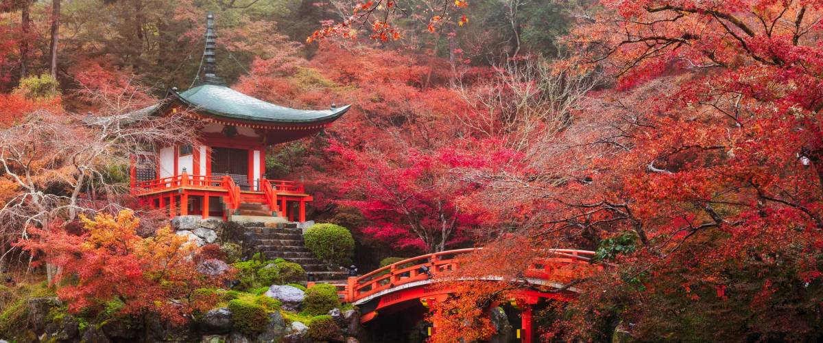 Daigo-ji temple with colorful maple trees in autumn, Kyoto, Japan