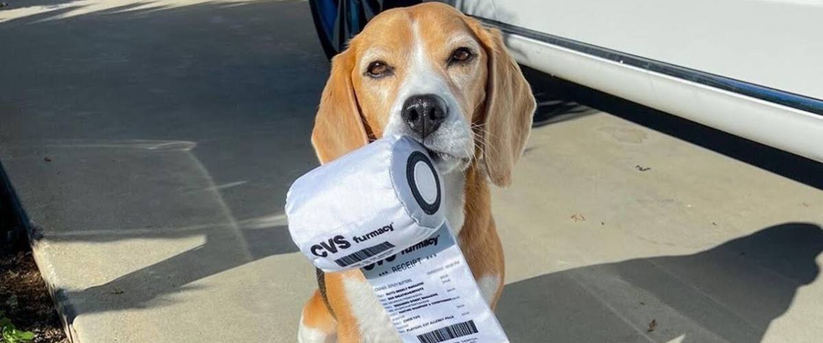 Dog holding CVS bags in mouth
