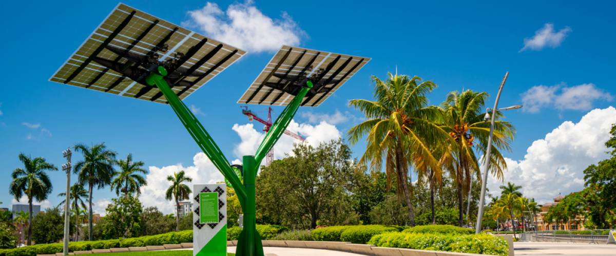 A solar tree of solar panels installed by Florida Power & Light among the palm trees at a park