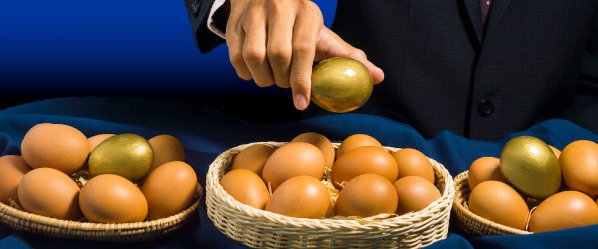 smart business man allocate golden egg into many baskets. do not put all eggs in one basket.