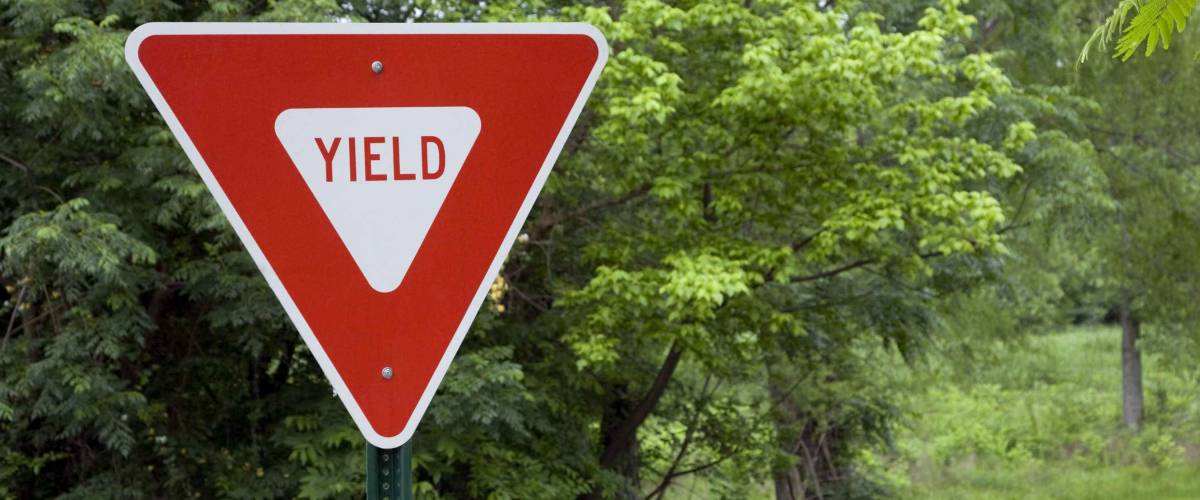 Yield Sign in a Park of Green Trees