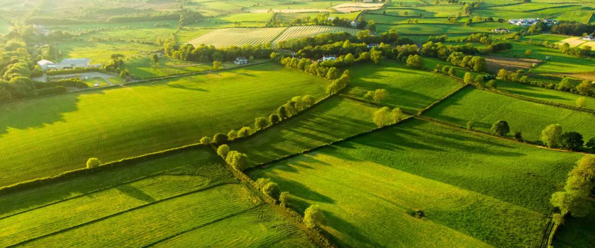 Aerial view of endless lush pastures and farmlands of Ireland. Beautiful Irish countryside with emerald green fields and meadows. Rural landscape on sunset.