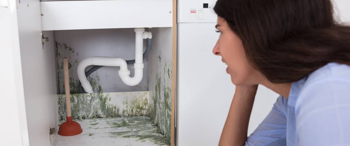 Young Woman Looking At Mold In Cabinet Area In Kitchen