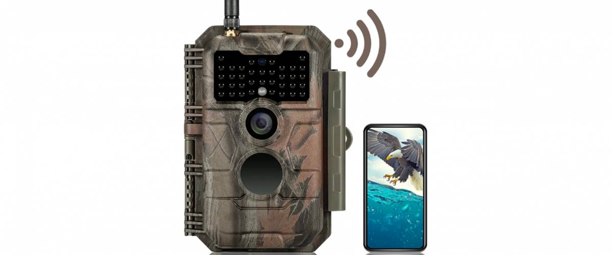 Trail Camera