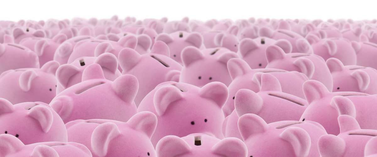 large group of piggy banks