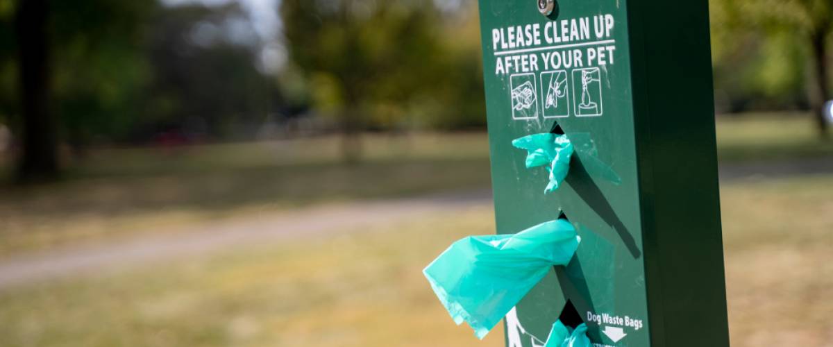 Doggy waste bag dispenser at park