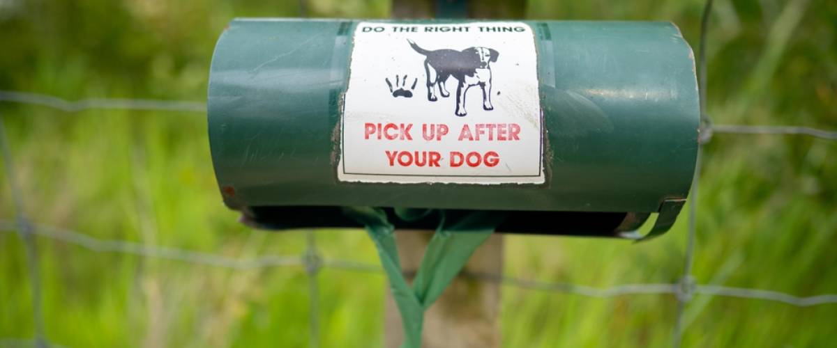 Dog waste bags outside in park