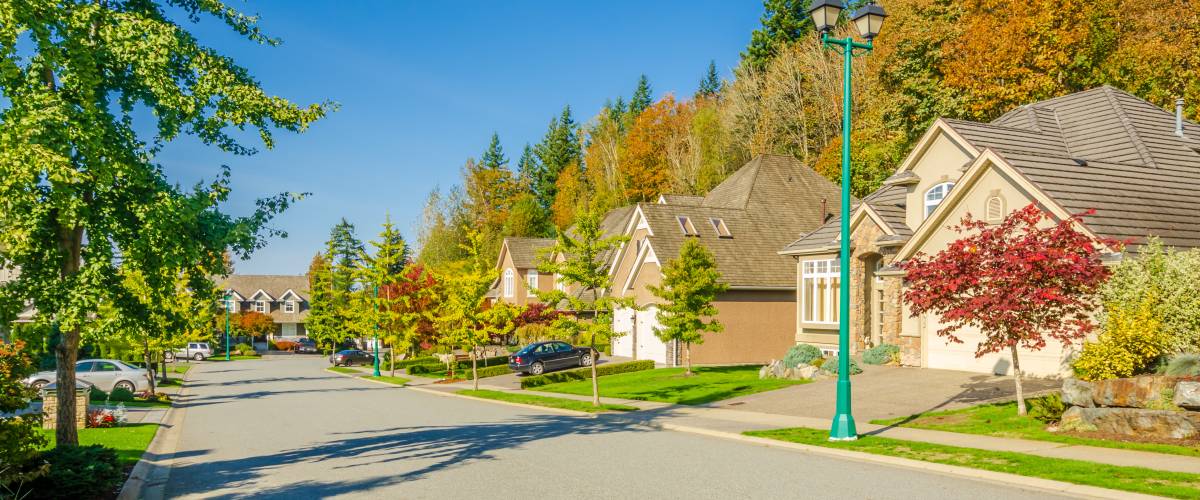 Suburban neighborhood