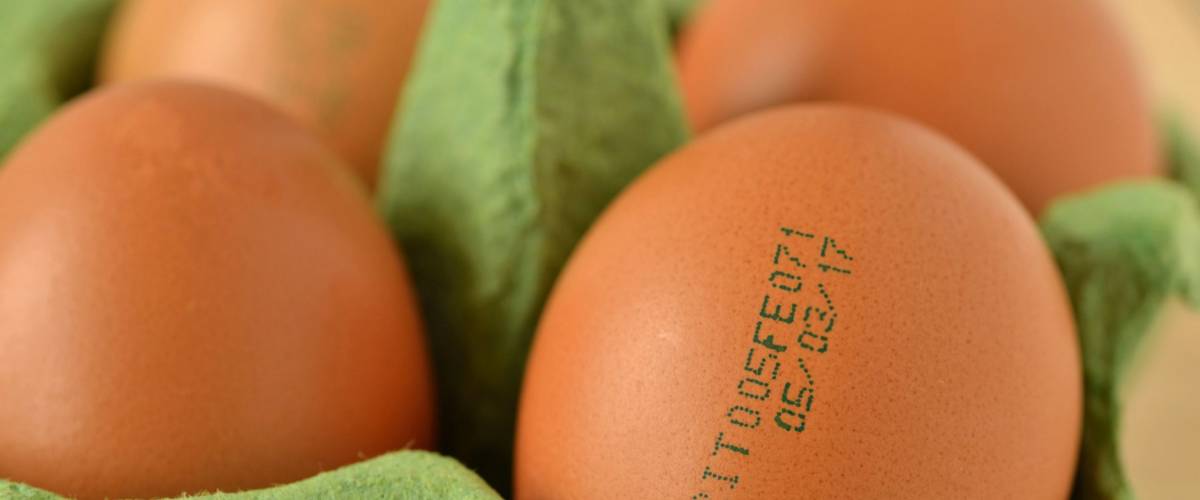 Close-up of eggs with expiration date