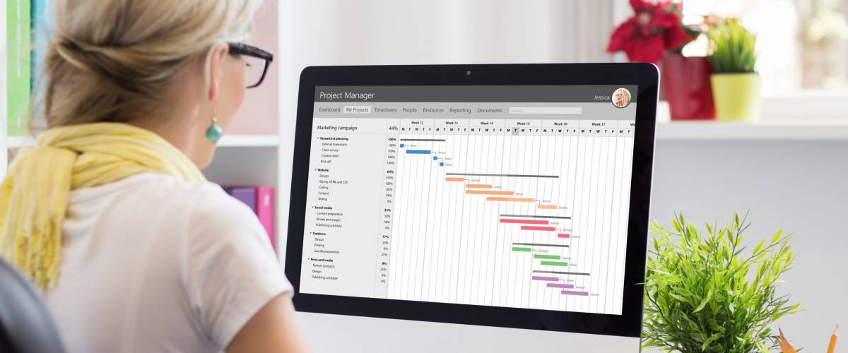 Program managers usually oversee multiple projects at once