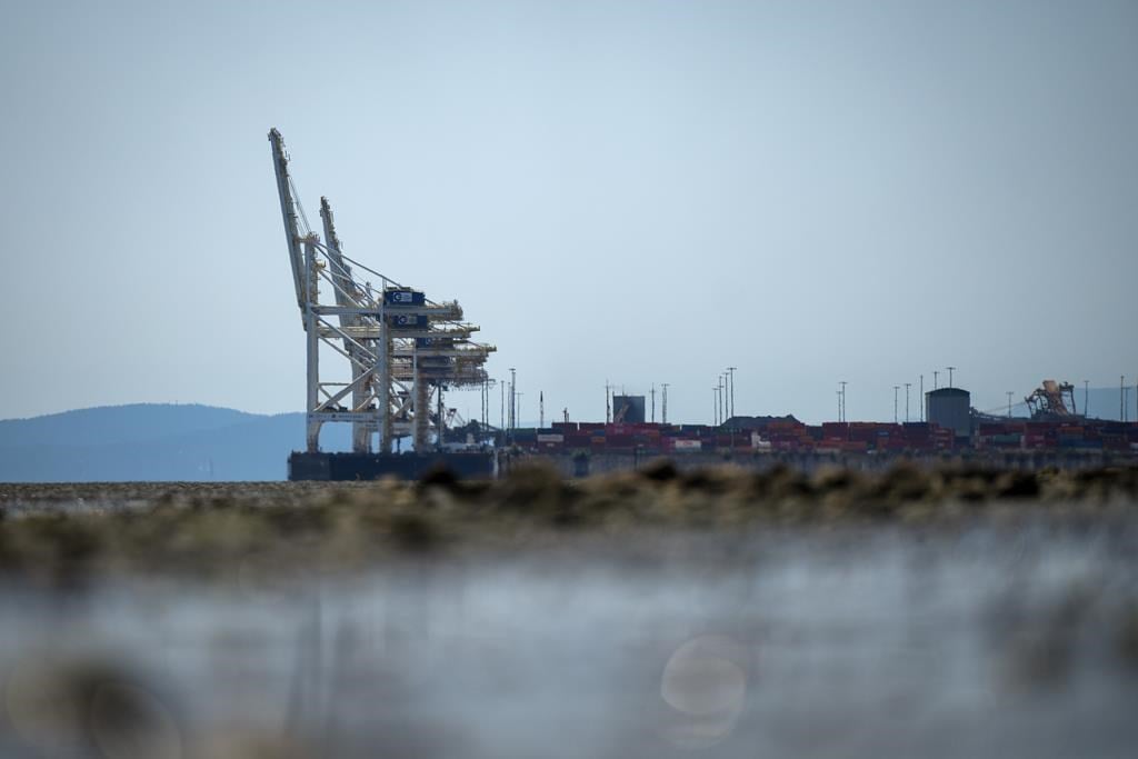 Gantry cranes used to load and unload cargo containers from ships sit idle at Global Container Terminals at Deltaport, in Delta, B.C., Friday, July 7, 2023. 