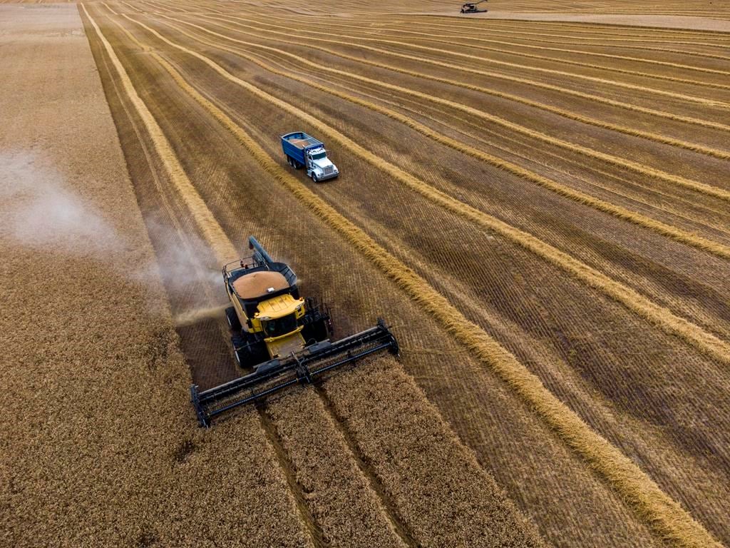 Major water users in southern Alberta have agreed to curb their water consumption if there&#039;s a severe drought this spring or summer. A wheat crop is harvested near Cremona, Alta., Tuesday, Se