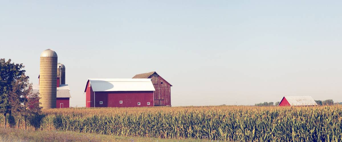 American Farmland With Blue Cloudy Sky