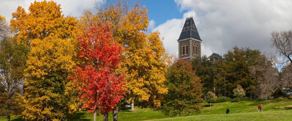 Fall color at Cornell University