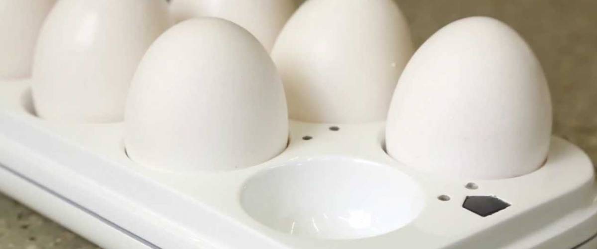 Quirky Egg Minder