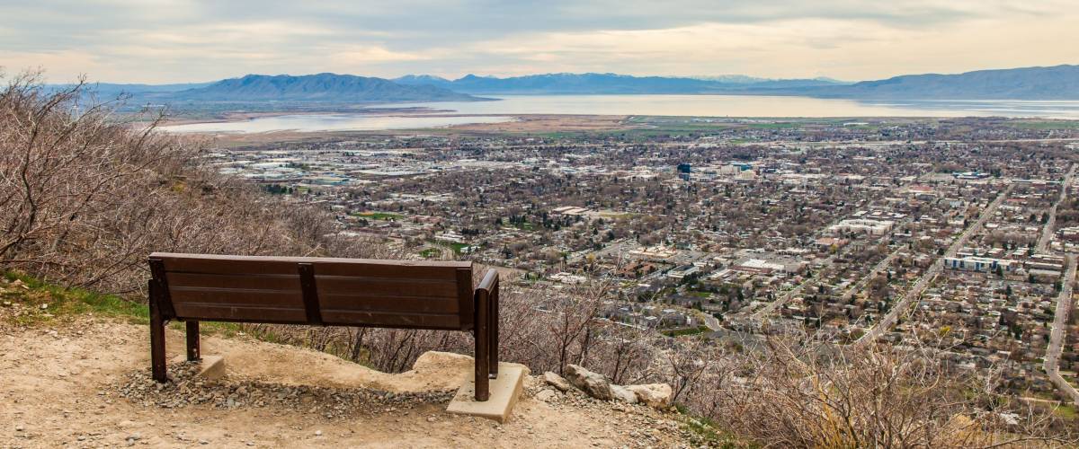The lonely bench