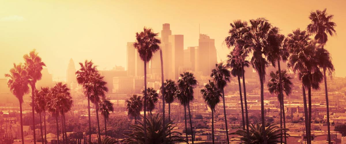 Beautiful sunset of Los Angeles downtown skyline and palm trees in foreground