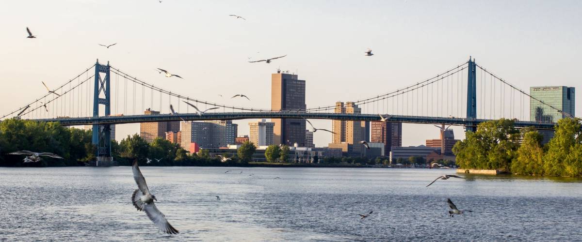Seagulls in front of Toledo, OH bridge taken from the Maumee River