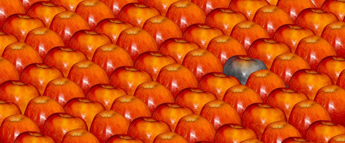 Good apples, bad apple