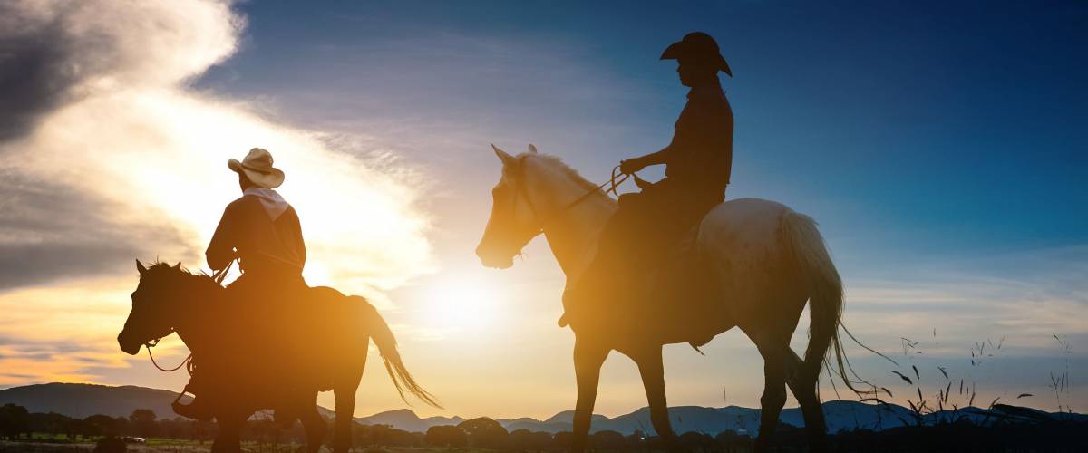 Silhouette of man riding a horse on sunset with beautiful background.Three cowboys silhouetted against a dawn sky. Montana horse ranch