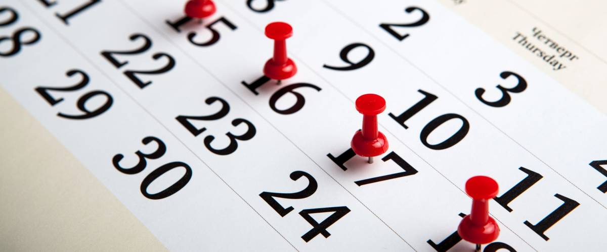 large wall calendar with number of days needles close-up