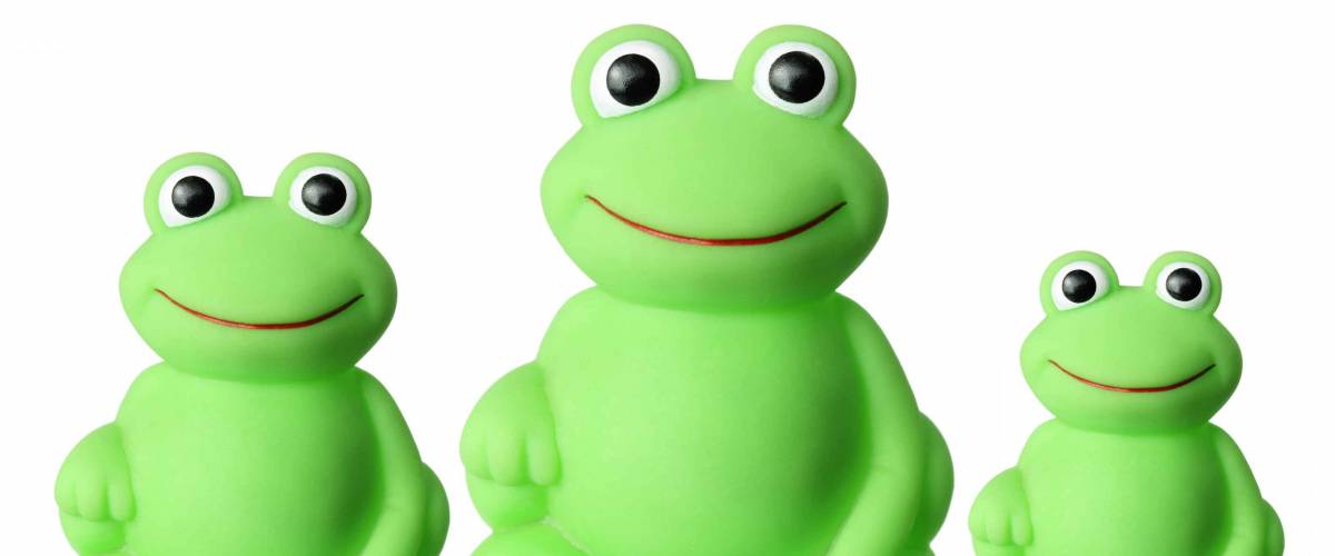 Toy Frogs on White Background