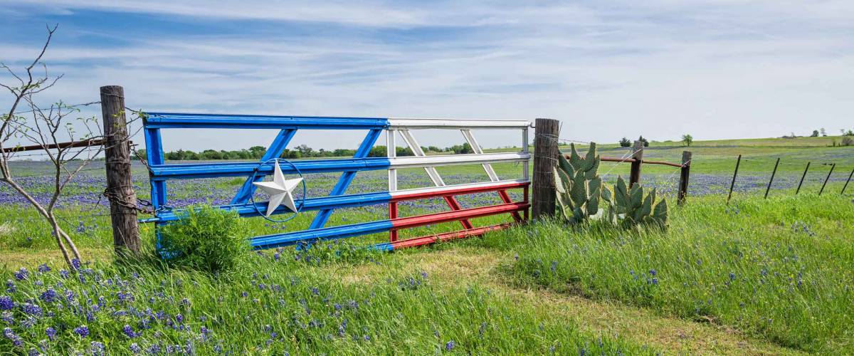Bluebonnet field and a fence with gate along roadside in Texas spring