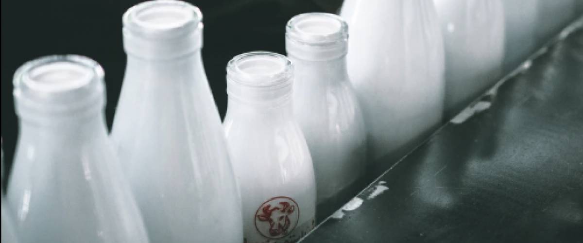 Jugs of milk