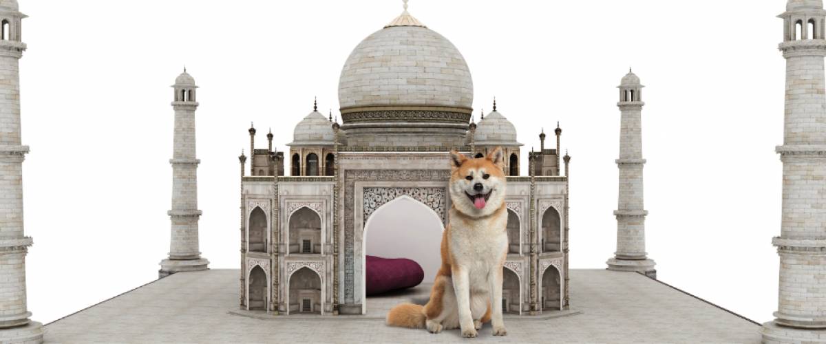 puppy castle